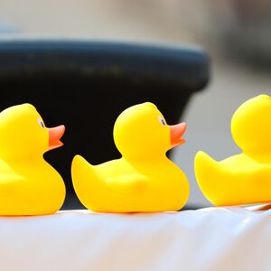 Rubber ducks