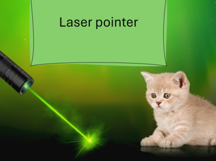 Kitten and laser pointer