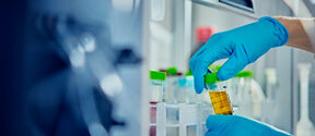 Lab work at Oulu