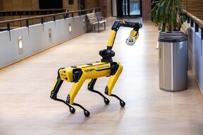 Spot the robot dog